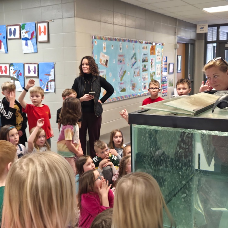 Adding up the trout… 52!