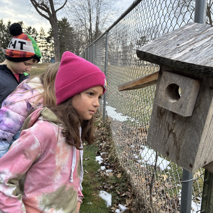 Getting a good look!