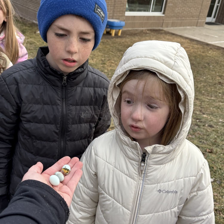 Last year’s shells