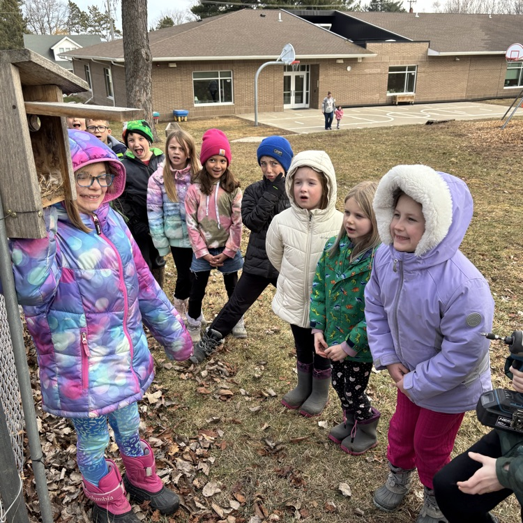 Layers of nesting materials !