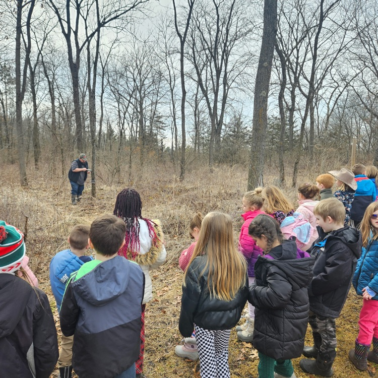 Criss-crossed paths make for a perfect picture spot.