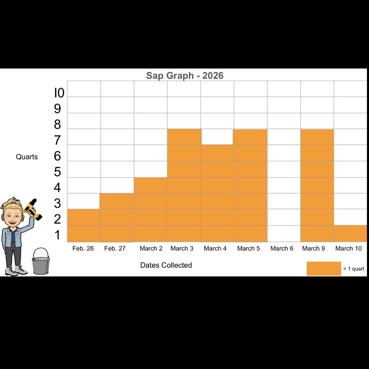 Students graphed the sap collected.
