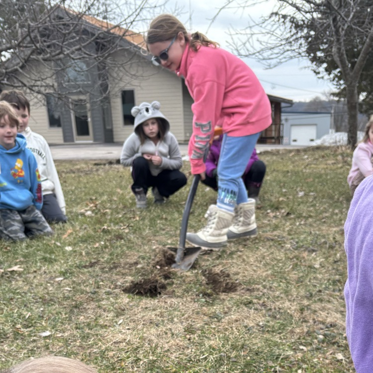 Digging a perfect hole for the new tree!