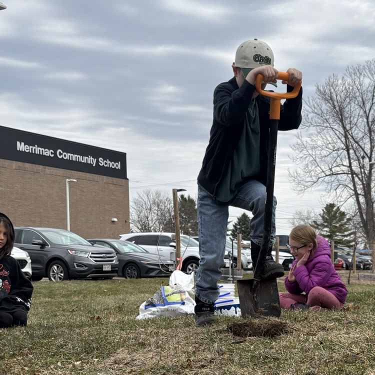 Digging a perfect hole for the new tree!