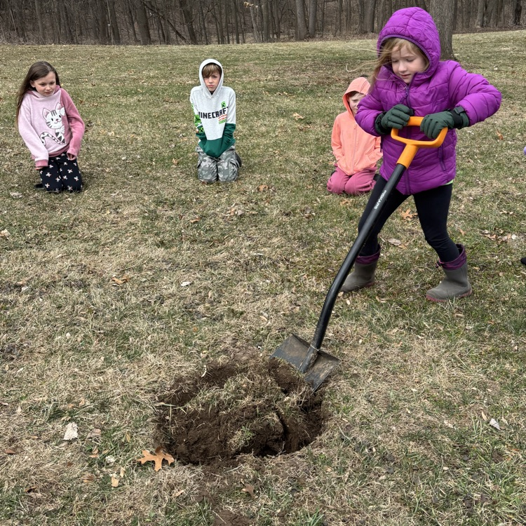 Digging a perfect hole for the new tree!