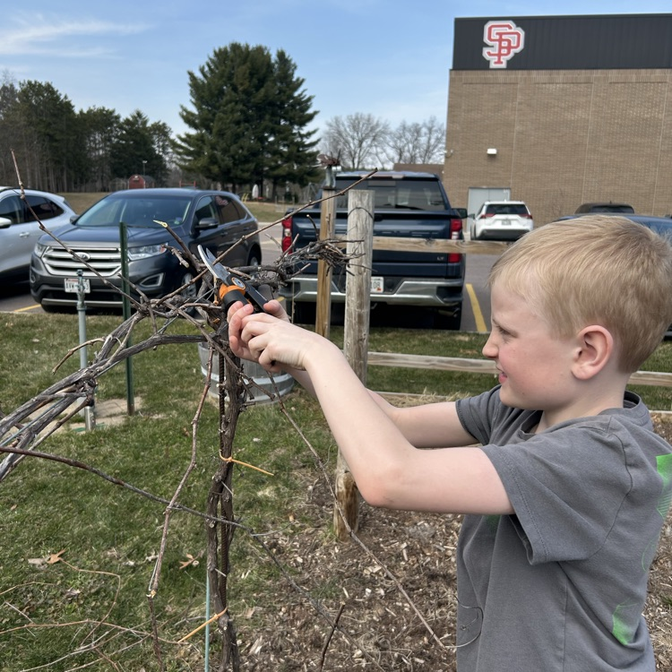 Spring pruning!