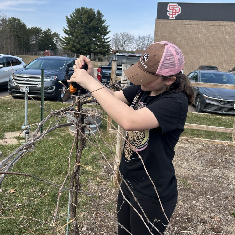 Spring pruning!