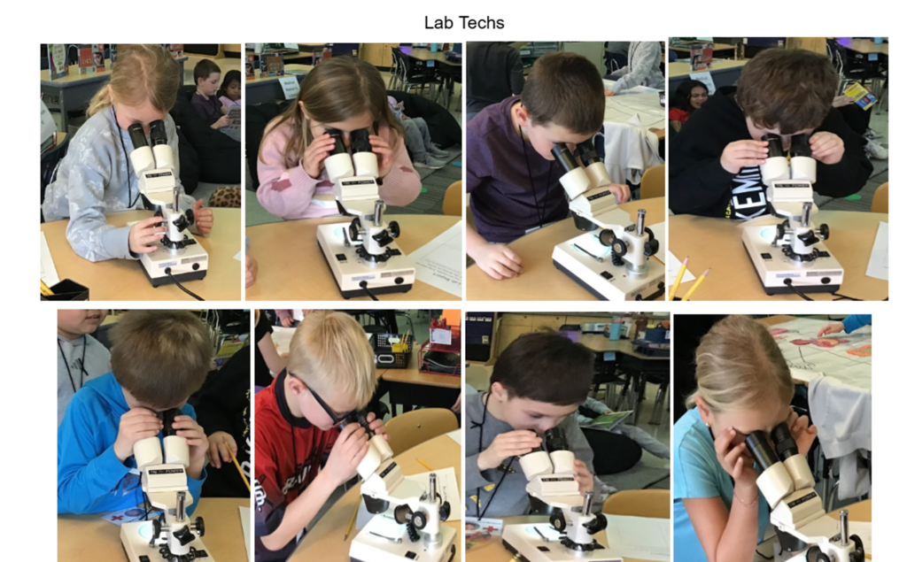 Lab Tech