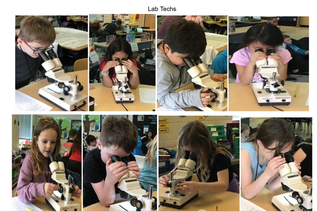 Lab tech