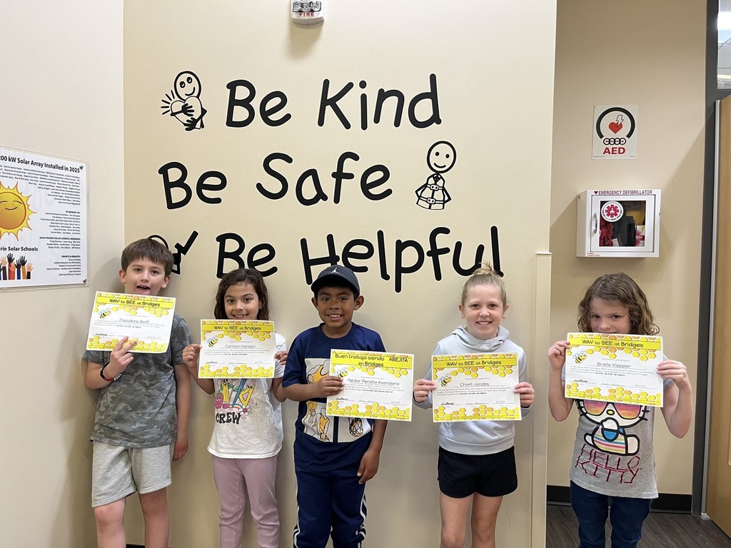 AWARD WINNERS