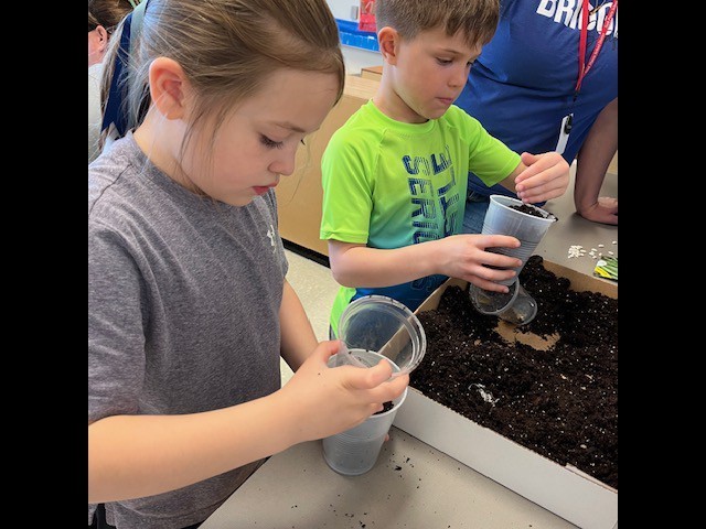Growing Plants 
