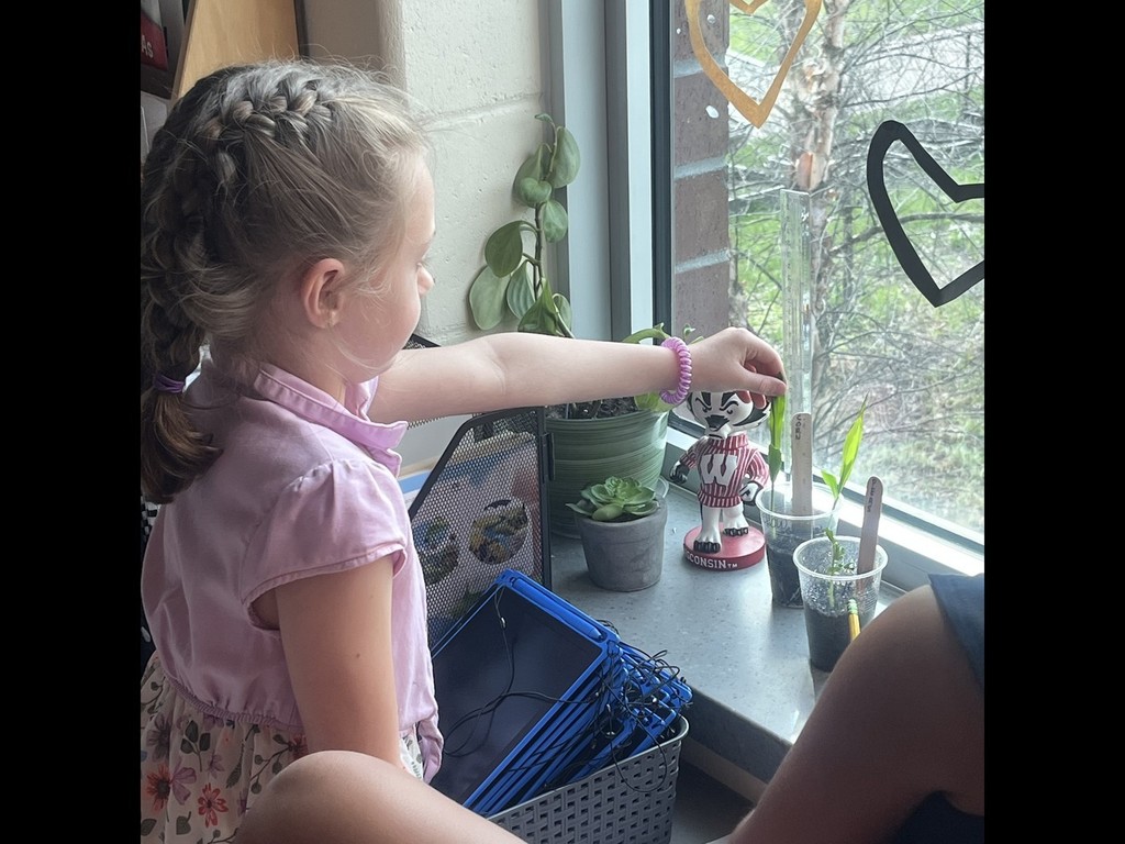Growing Plants 