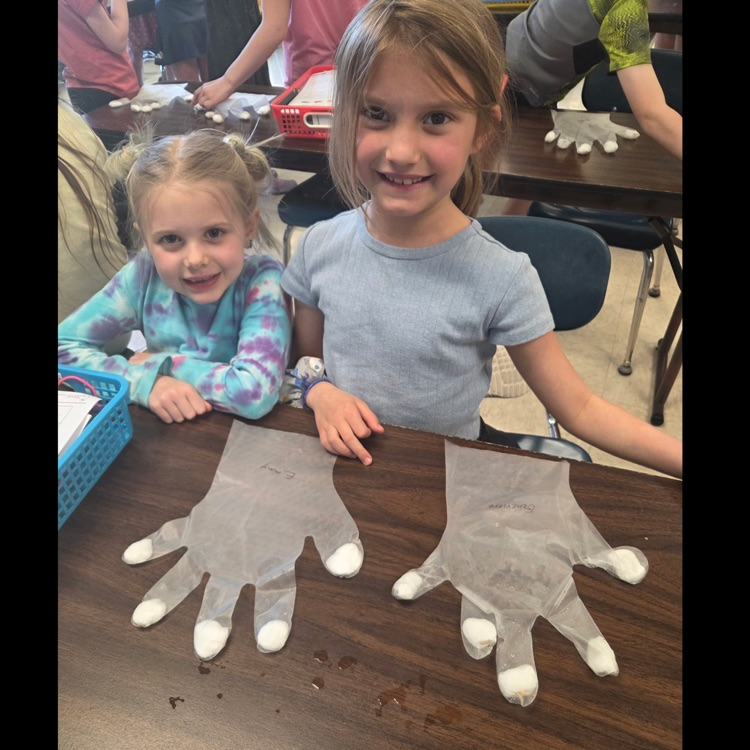 Each finger has a different seed and wet cotton ball. Time to grow! 