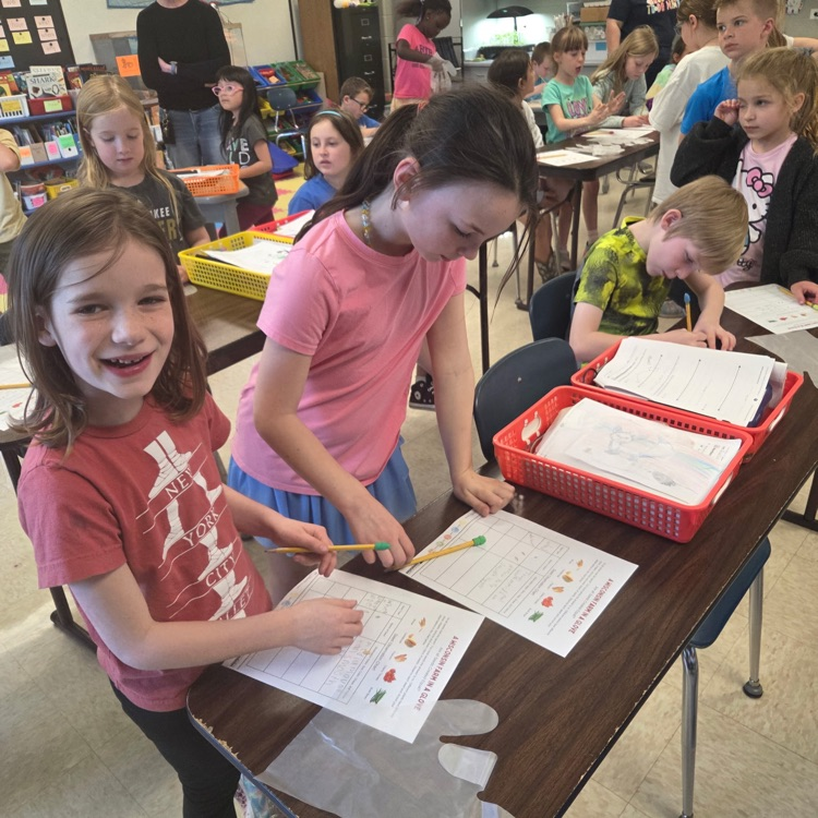 Making and recording our observations!