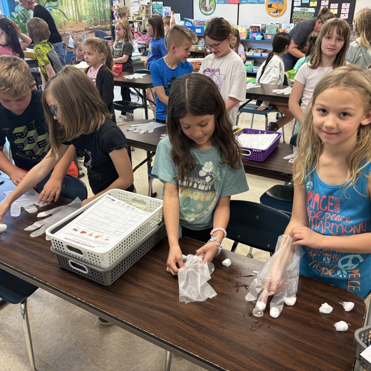 Each finger has a different seed and wet cotton ball. Time to grow! 