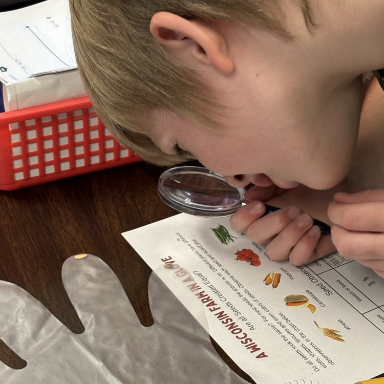Getting a good look at the different seeds!
