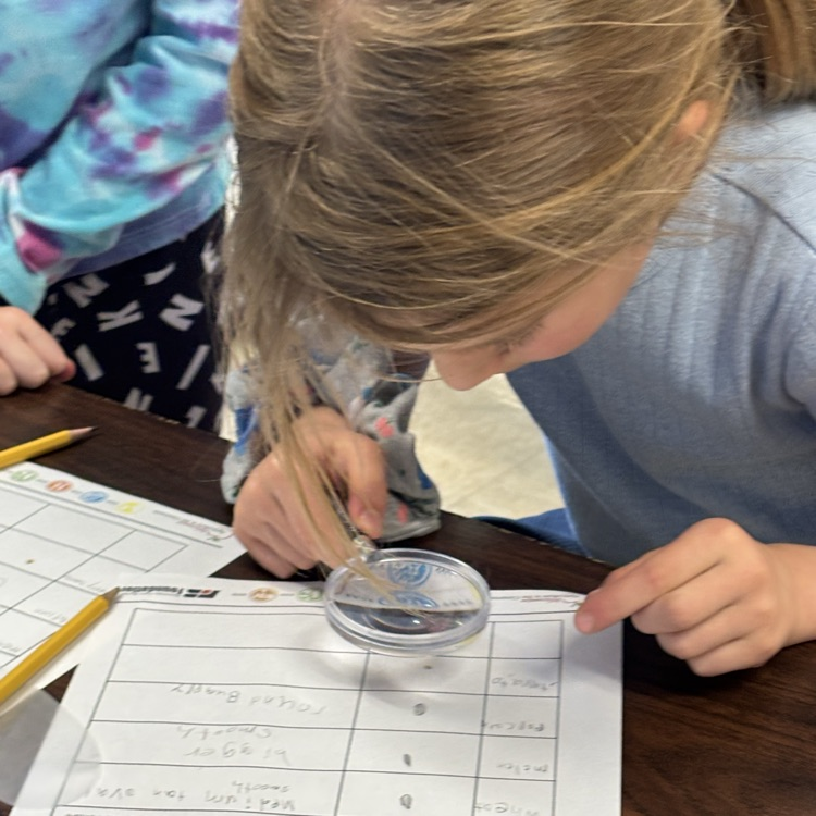 Getting a good look at the different seeds!