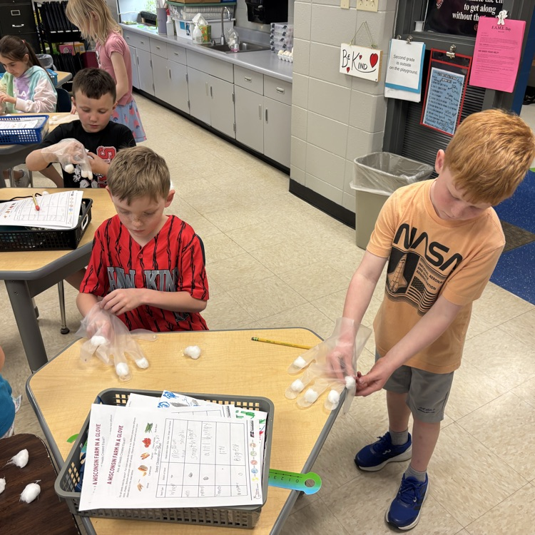 Each finger has a different seed and wet cotton ball. Time to grow! 