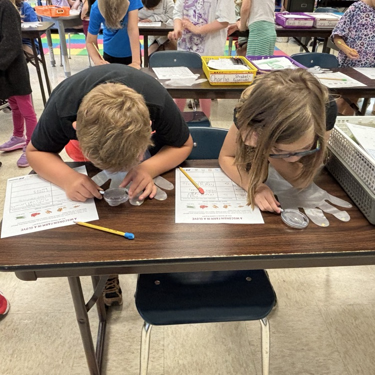 Getting a good look at the different seeds!