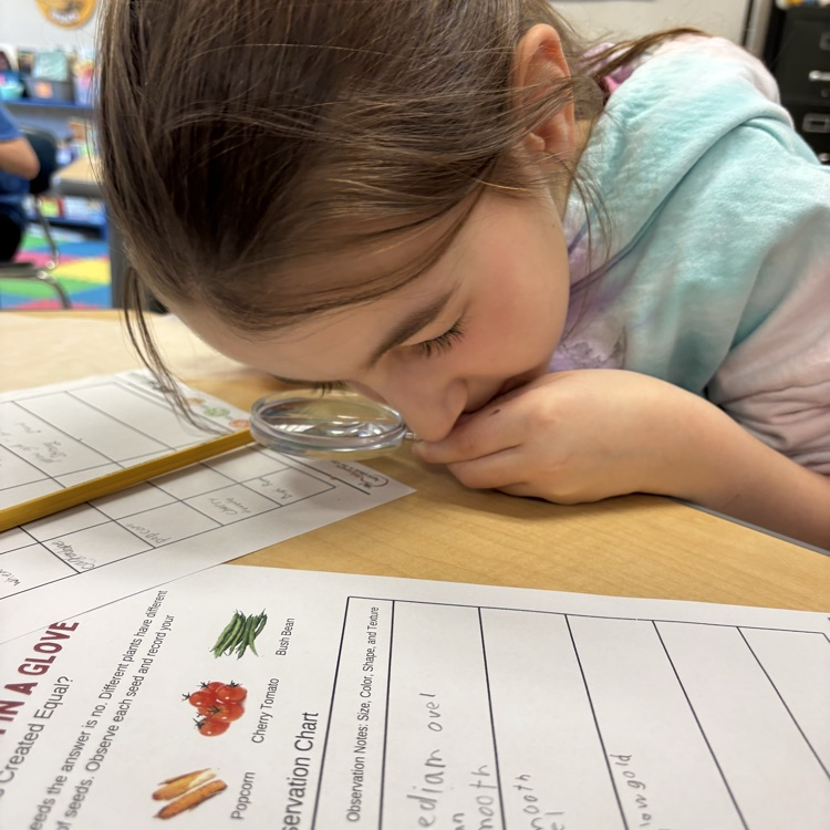 Getting a good look at the different seeds!