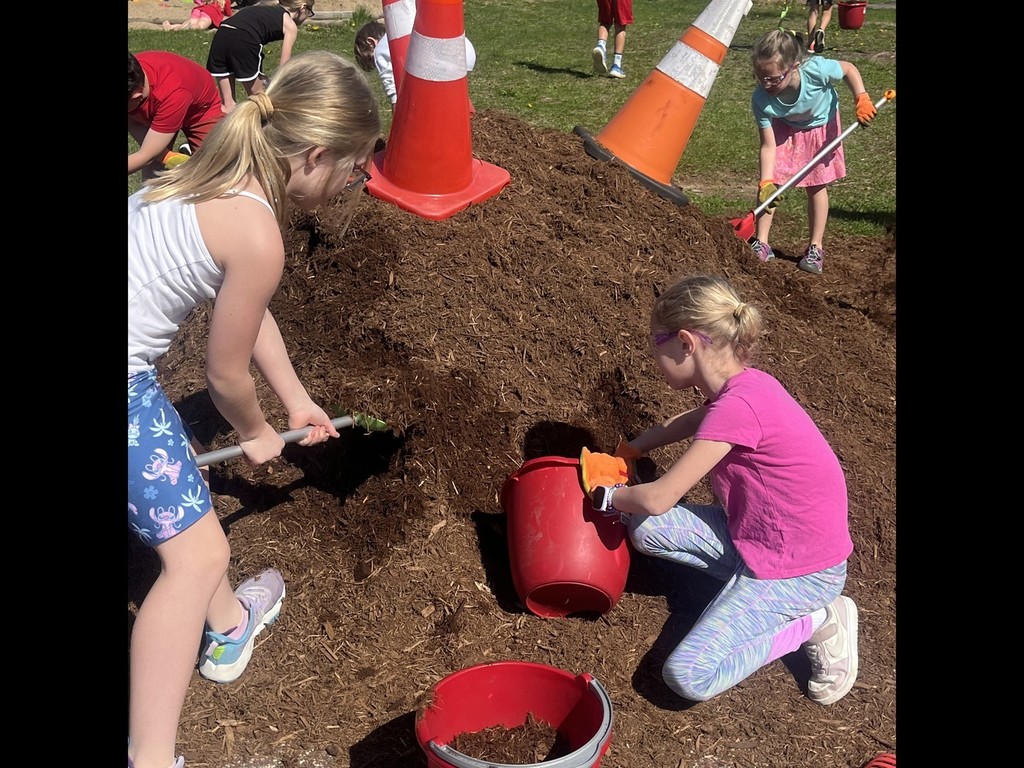 earth day clean up 