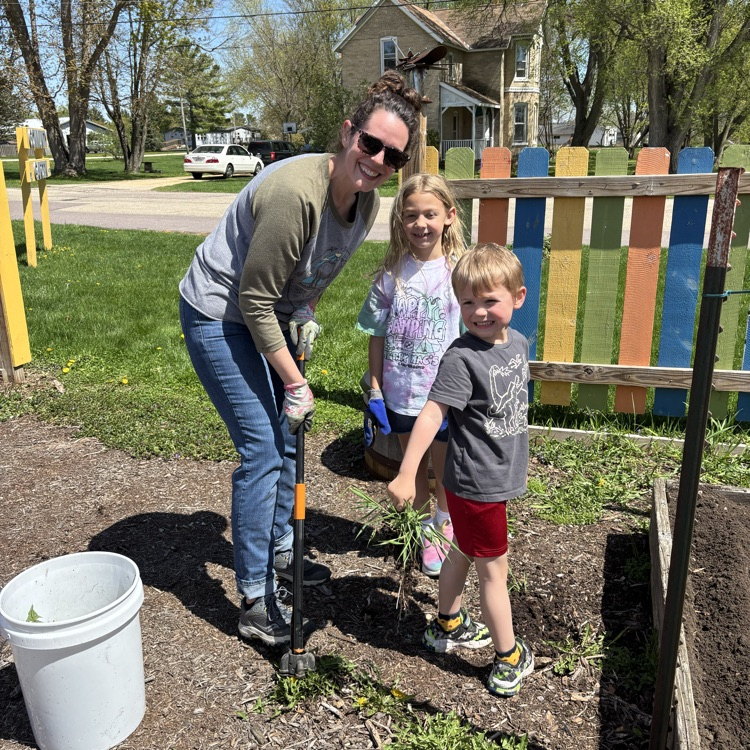 Team Dandelion !