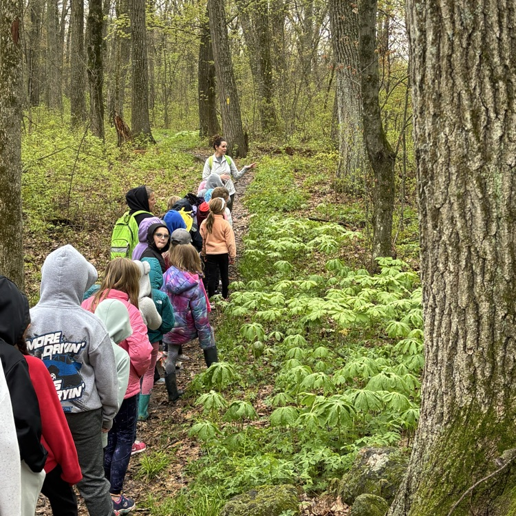 Learning about native plants.