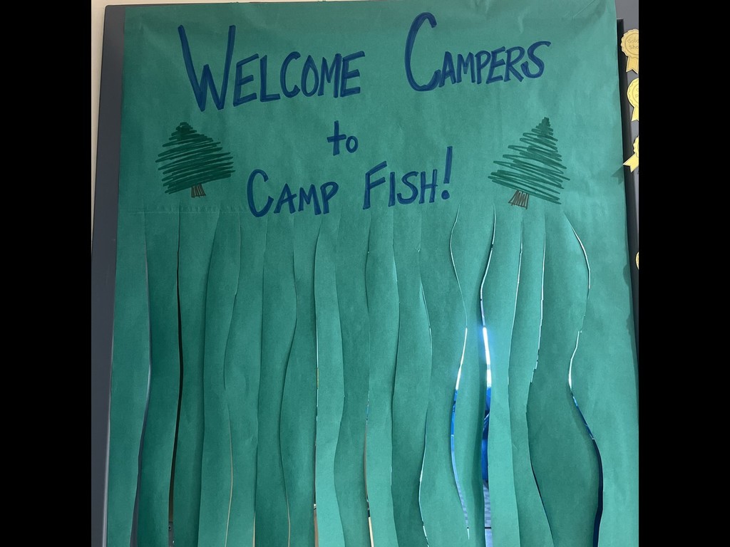 Camp Fish