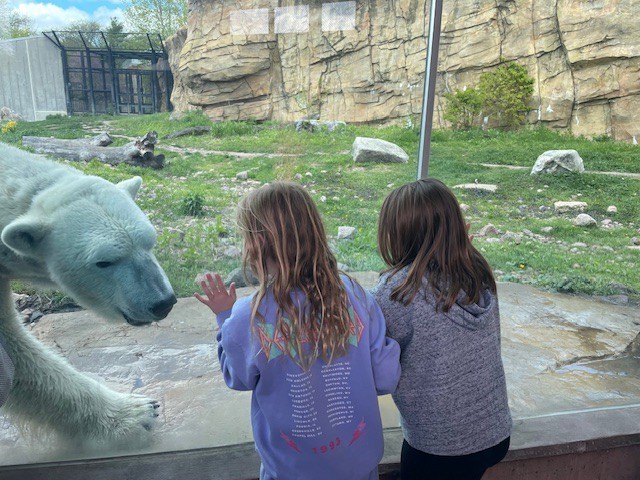 Zoo and Planetarium trip 