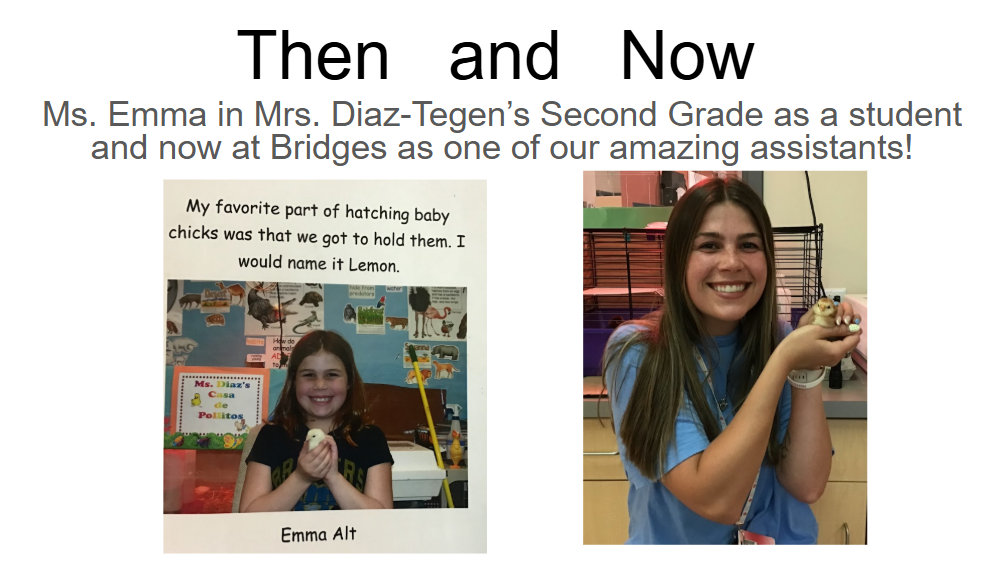 Baby chicks through the years 
