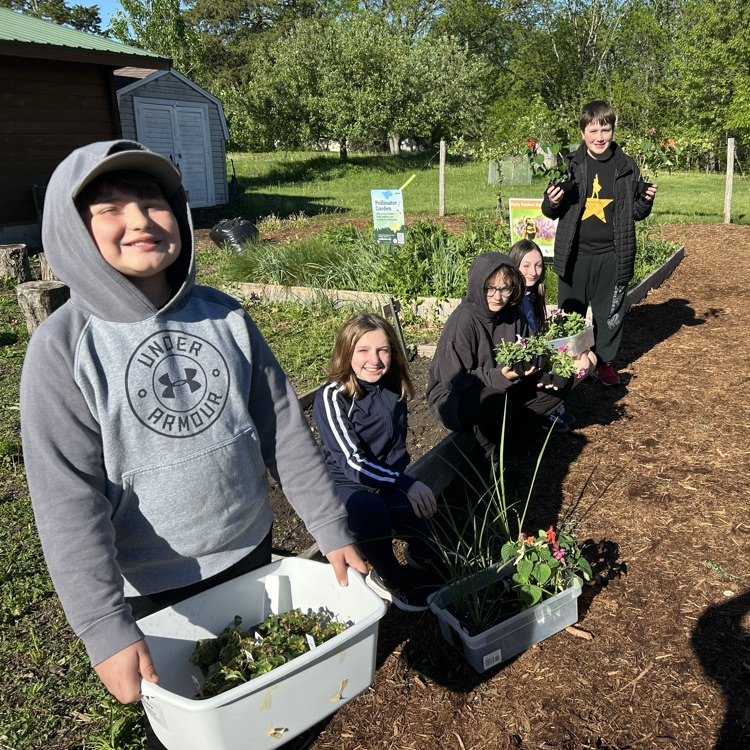 Ready to plant! 