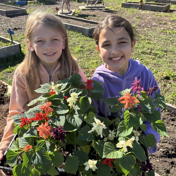 Beautiful blooms from Buttermilk Barn! 