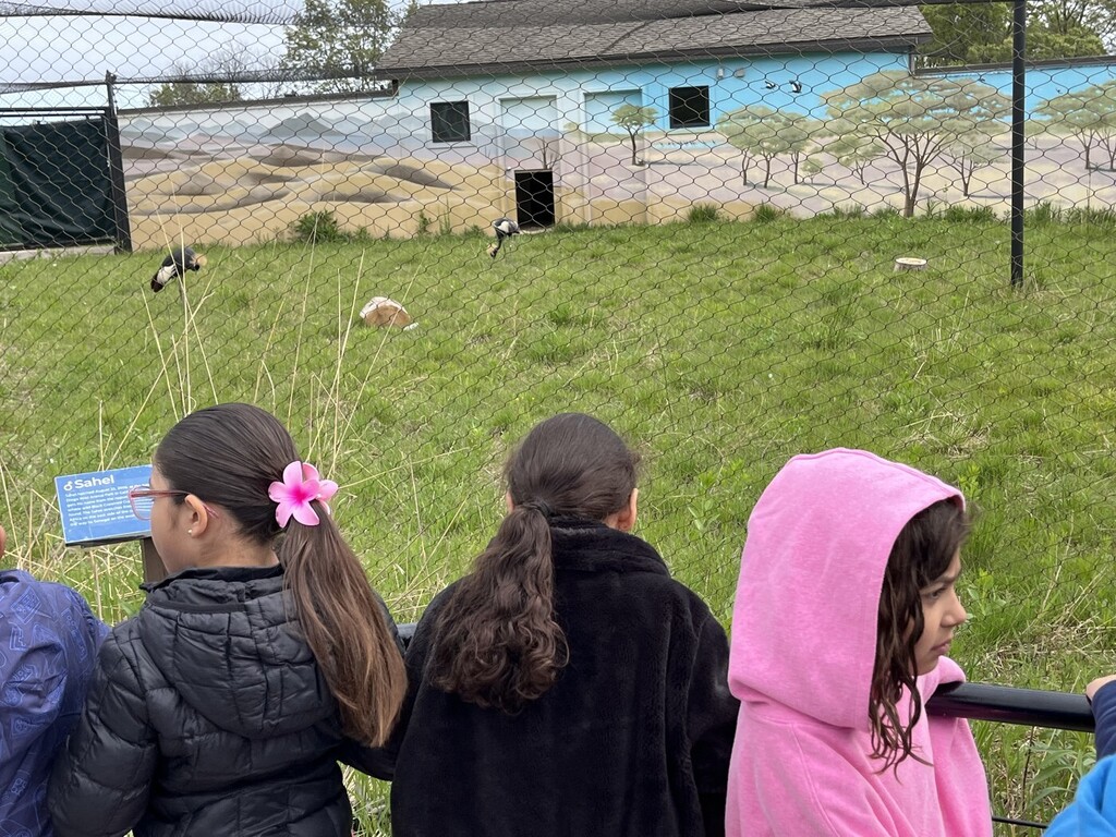 Crane foundation field trip 