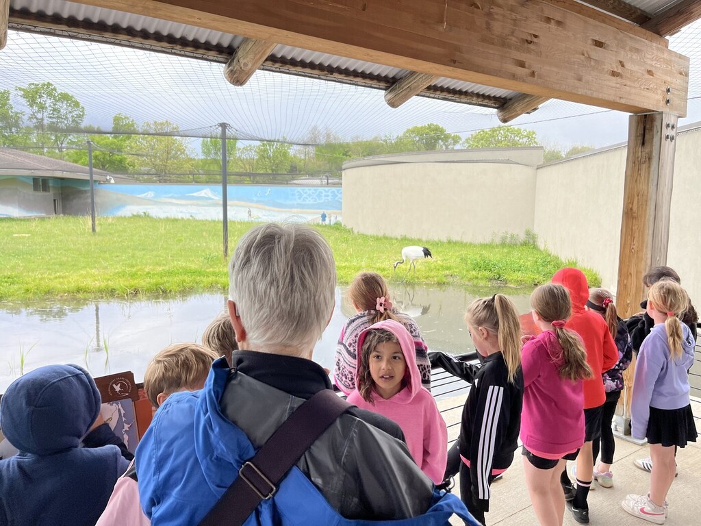 Crane foundation field trip 