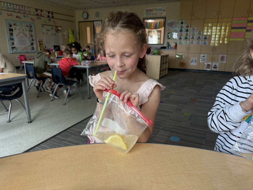Making lemonade in a bag