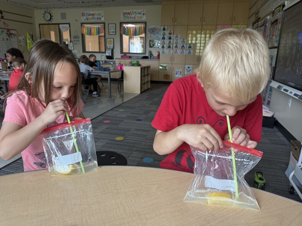 Making lemonade in a bag
