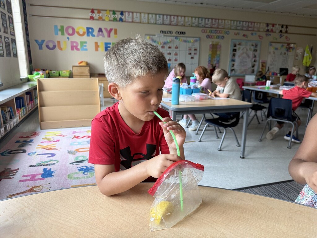 Making lemonade in a bag