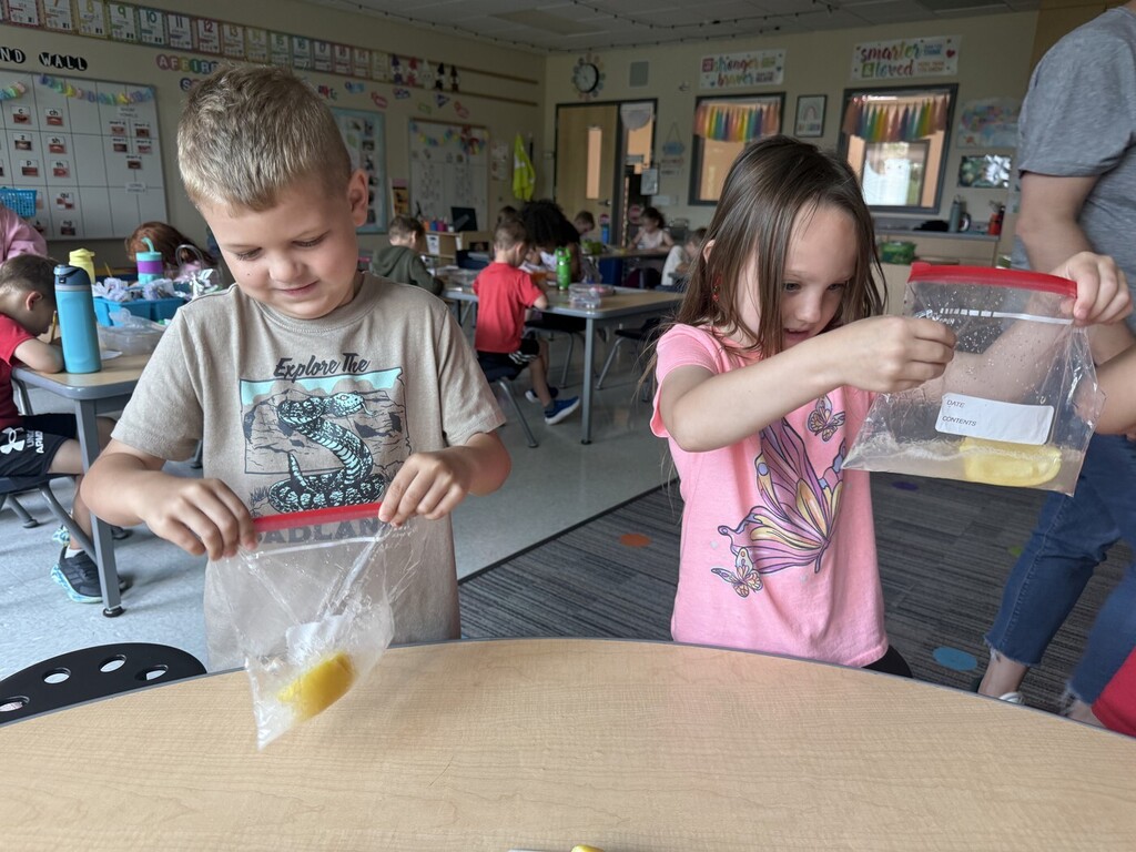 Making lemonade in a bag