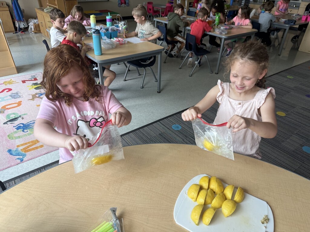 Making lemonade in a bag