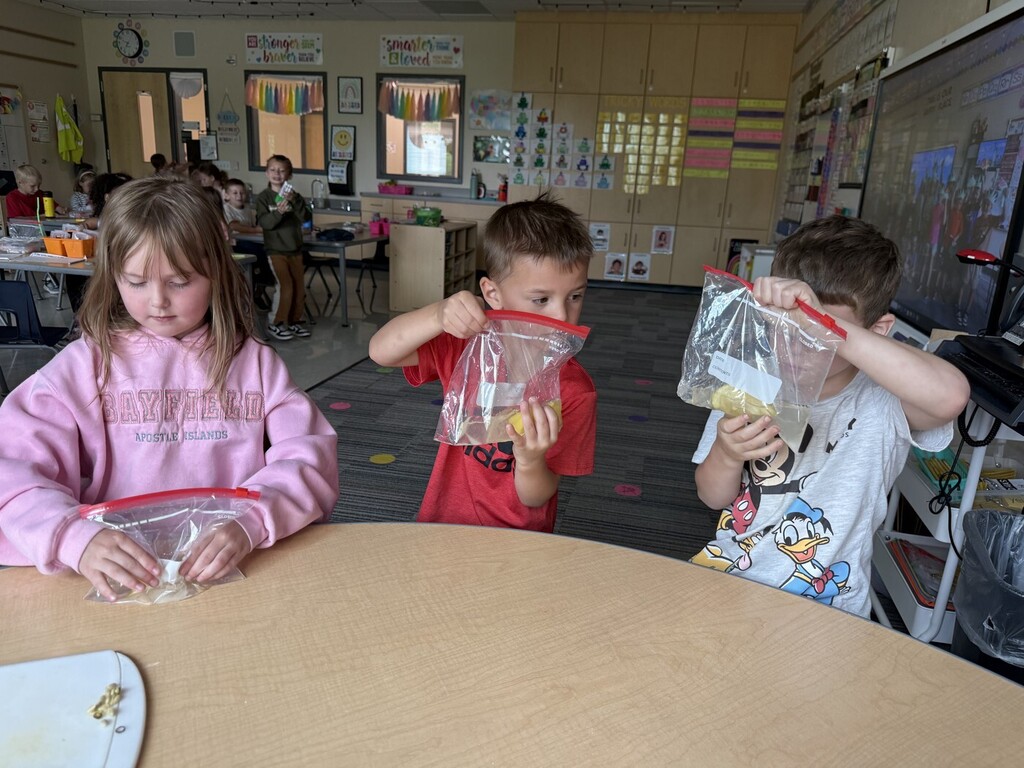 Making lemonade in a bag