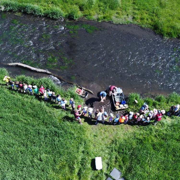 Bird’s eye view