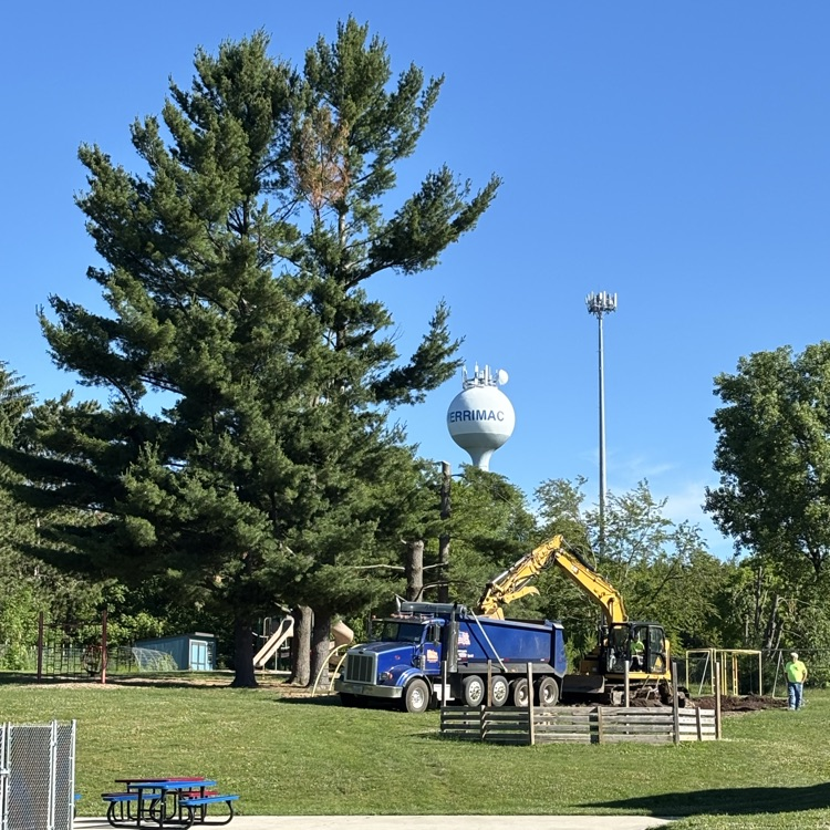 Tree stump removal