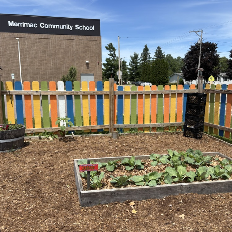 Cabbages and the potato tower are getting growing. 