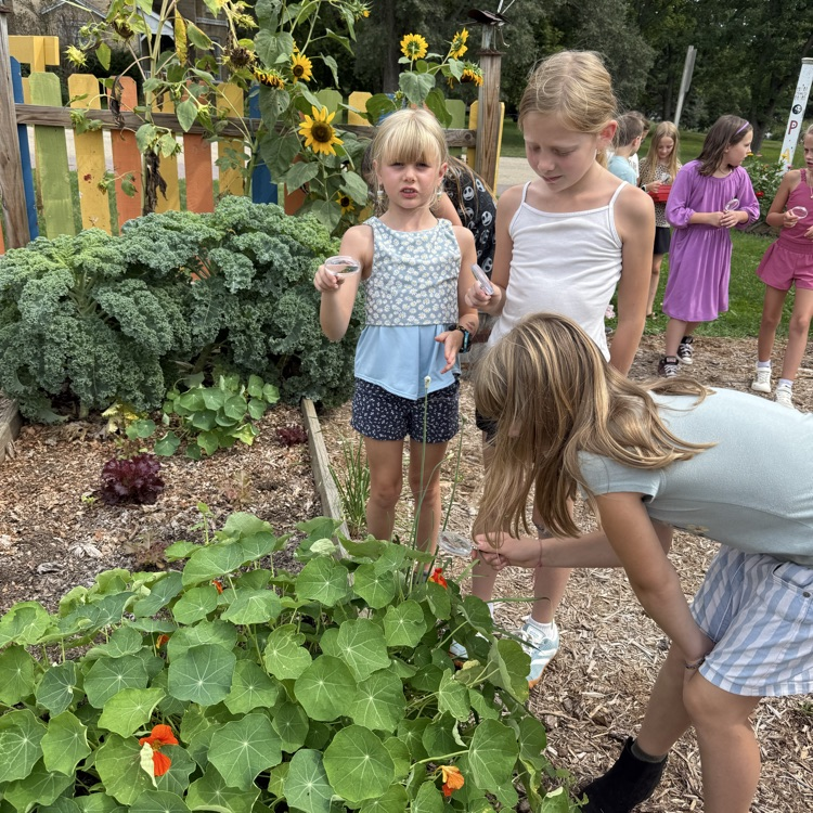 Science in the garden!