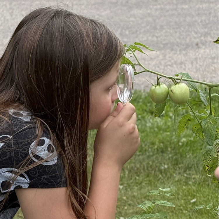 Science in the garden!