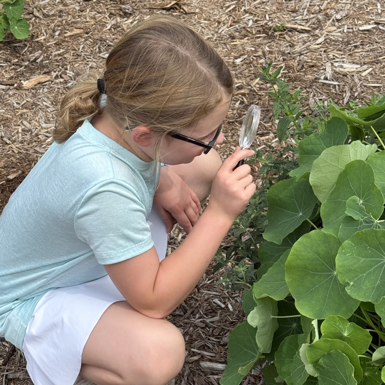 Science in the garden!