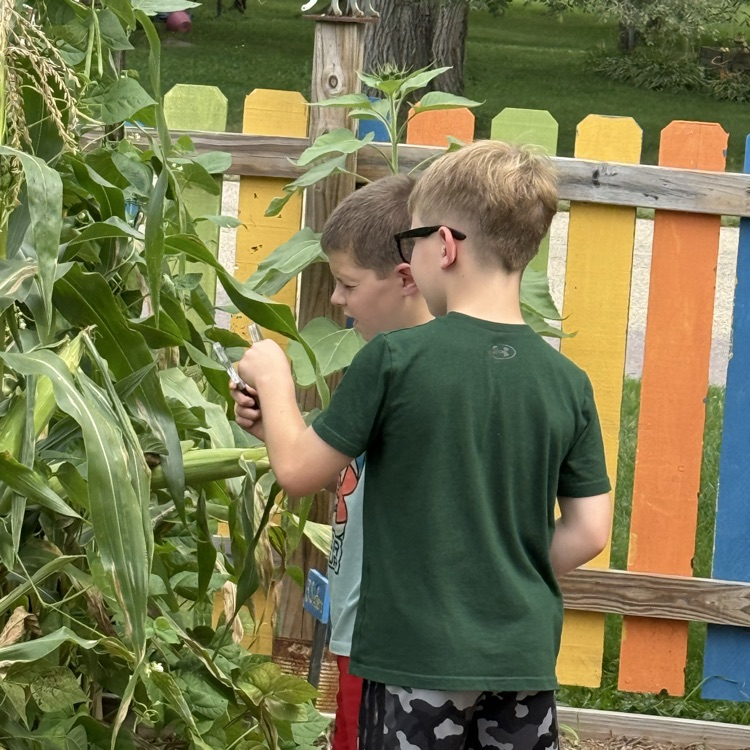 Science in the garden!