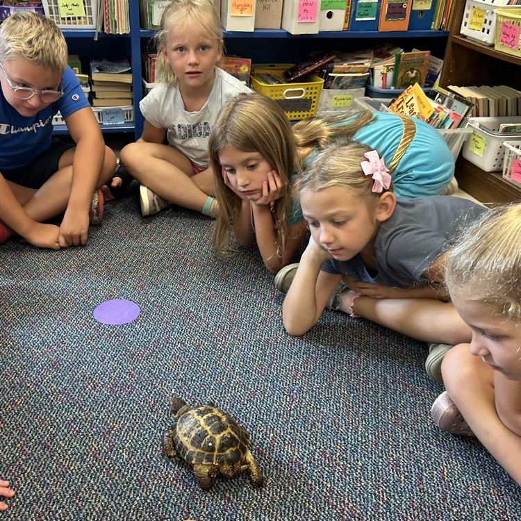 Science with a shell!