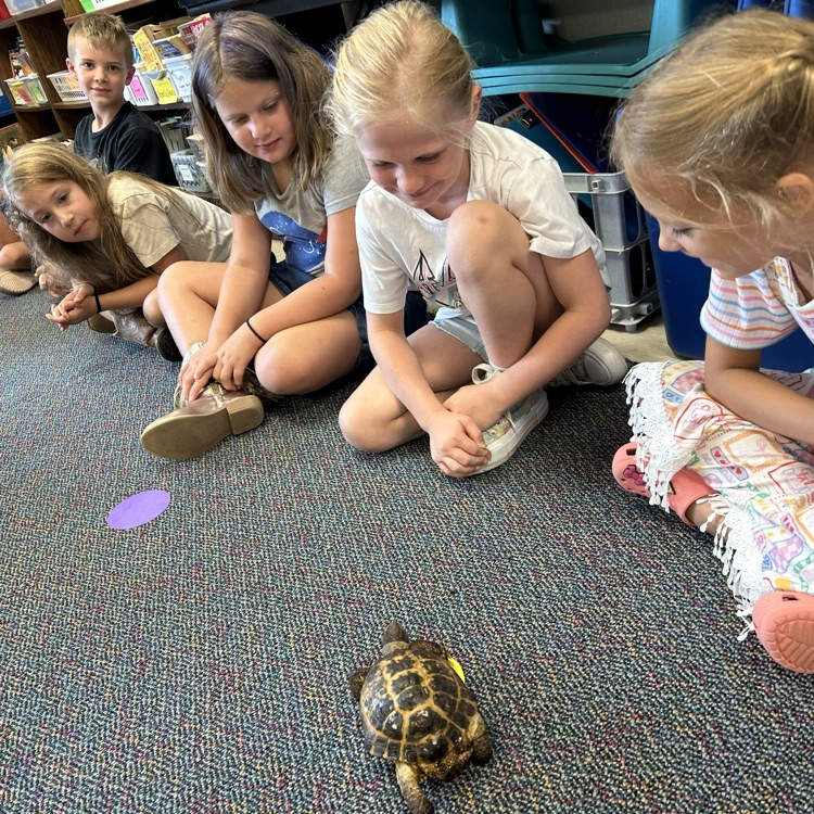 Science with a shell!