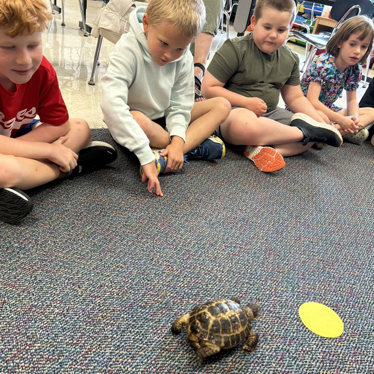 Science with a shell!